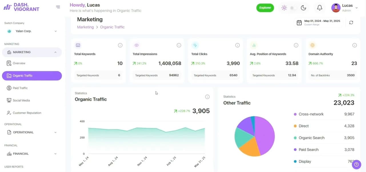 Dash Vigorant analytics dashboard with traffic charts, before the redesign